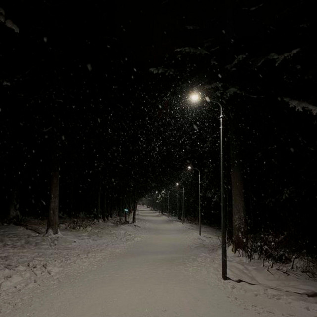 Fredagslåten cover art
