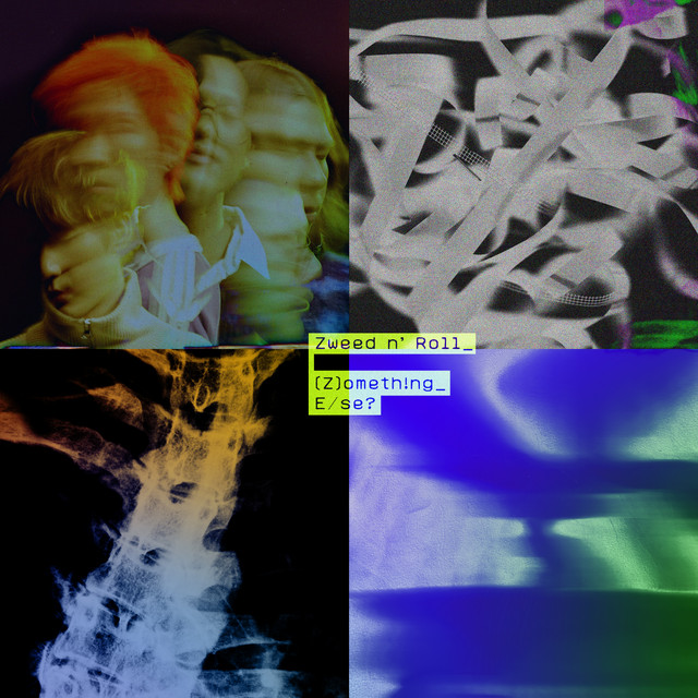 (Z)ometh!ng_E/se? cover art