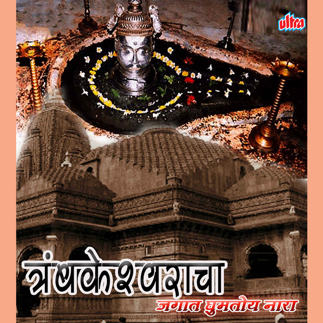 Tryambakeshwaracha Jagat Gumtoy Naara cover art