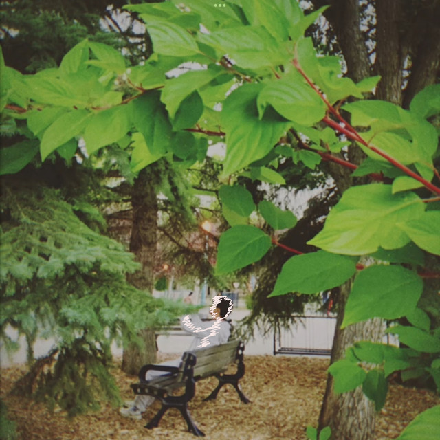 KDG cover art