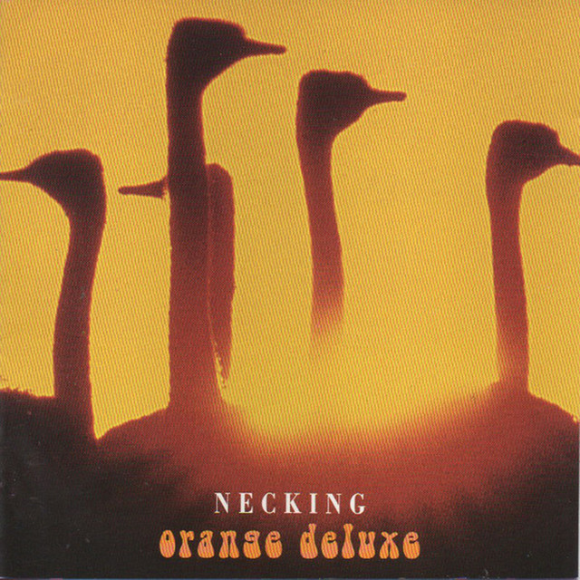 Necking cover art