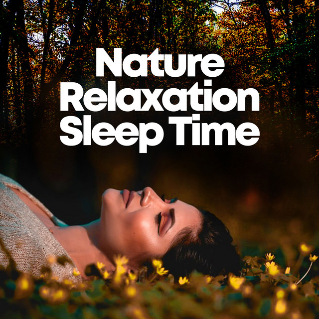 Dimensional - song and lyrics by Nature Sounds Relaxation: Music for ...