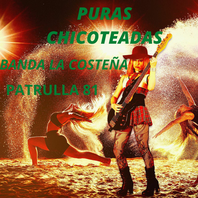 Puras Chicoteadas album image