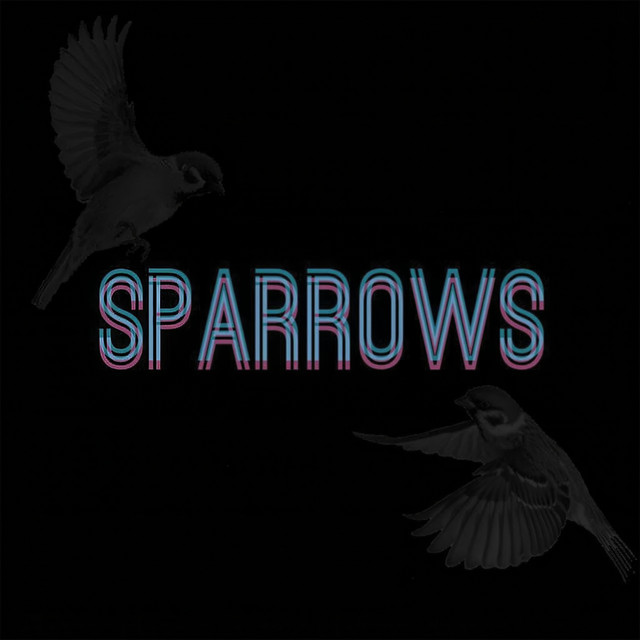 Sparrows