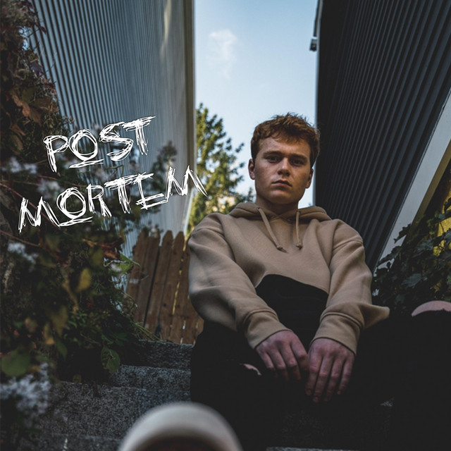 Post Mortem cover art