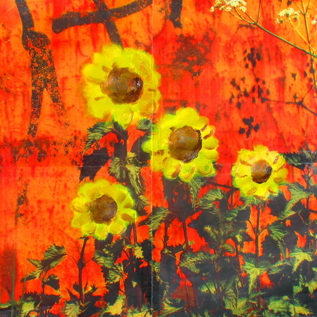 Clap for the Flowers cover art