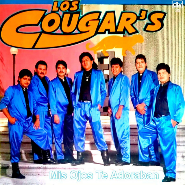 Mis Ojos Te Adoraban cover art