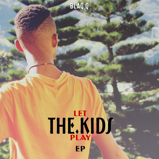 Pietermaritzburg cover art