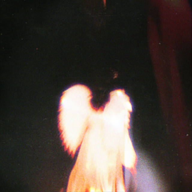 faller cover art