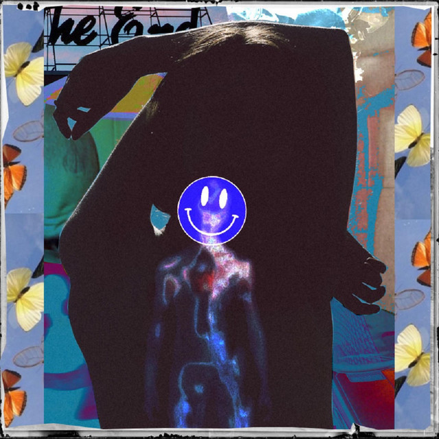 dump cover art
