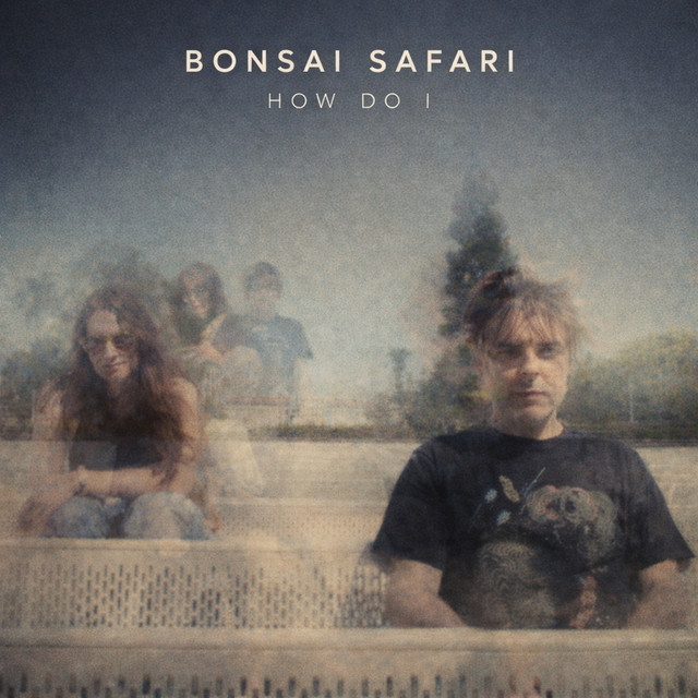 Bonsai Safari