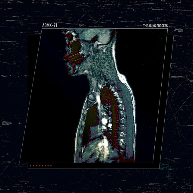 The Aging Process cover
