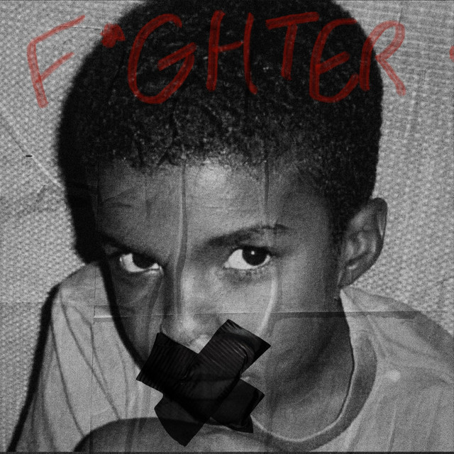 Fighter cover art