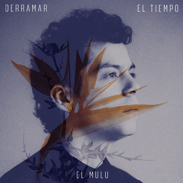 Si Llega el Desastre
