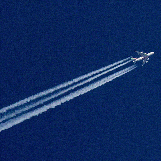 Fly cover art