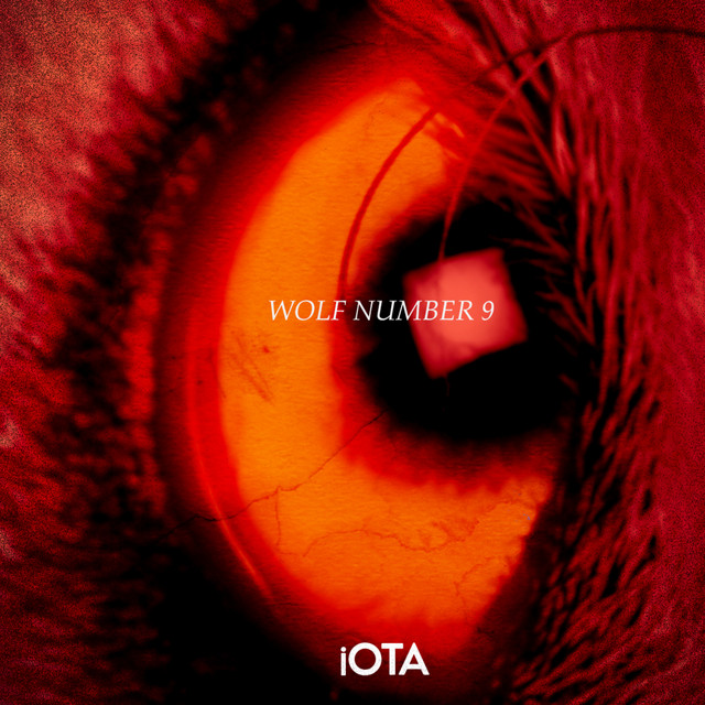 Wolf Number 9 cover art