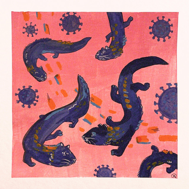 twentytwenty cover art
