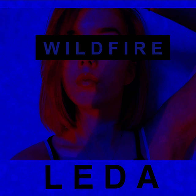 Wildfire cover art