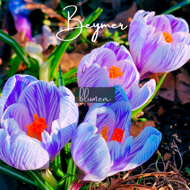 Blumen