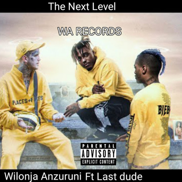 The Next Level cover art