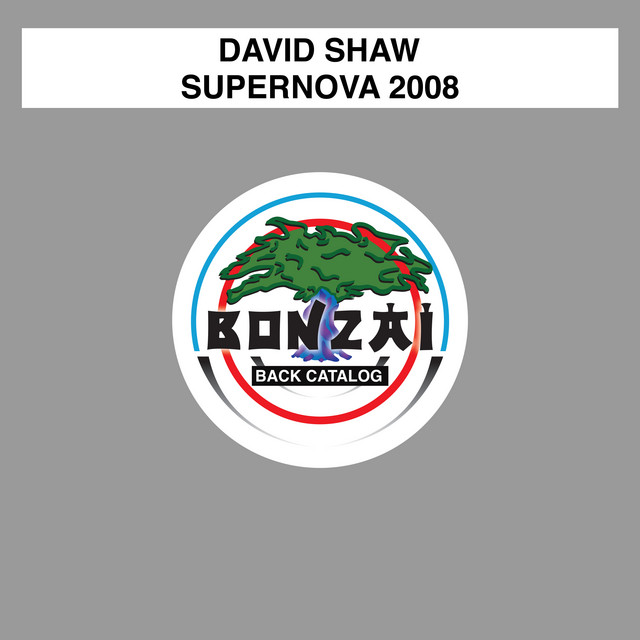 Supernova 2008 cover art