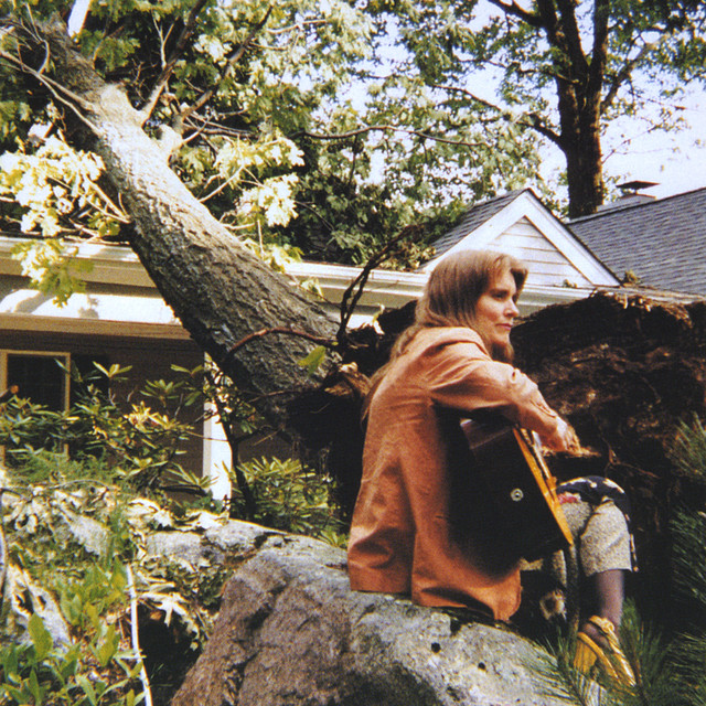 The Sound of A Tree Falling cover art