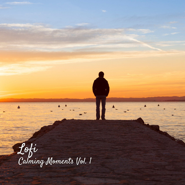 Lofi: Calming Moments Vol. 1 cover art