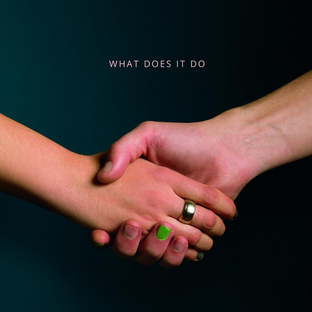 What Does It Do cover art