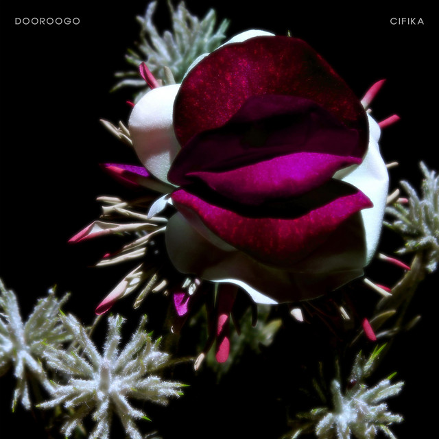 DOOROOGO cover art