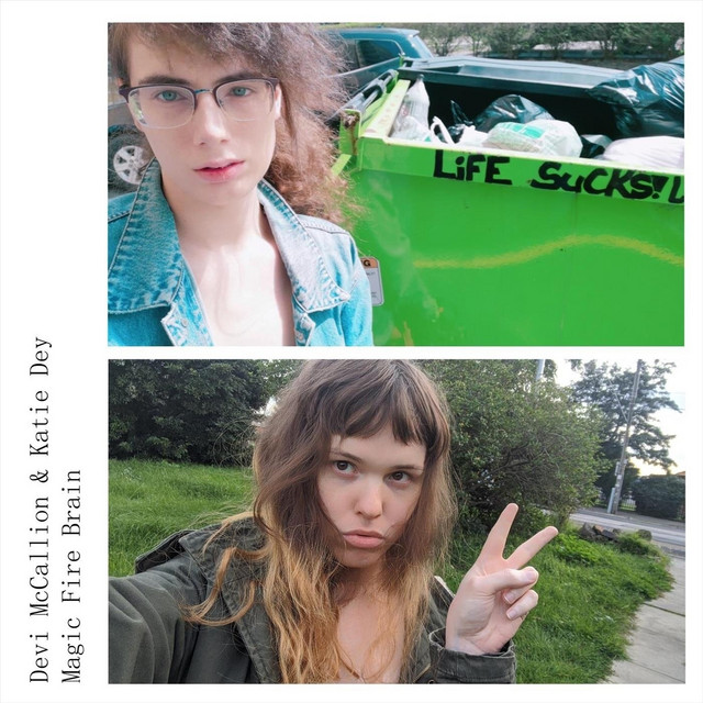 Plastic cover art