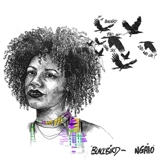 Blackbird cover art