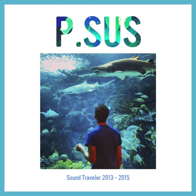 Sound Traveler 2013 - 2015 cover art