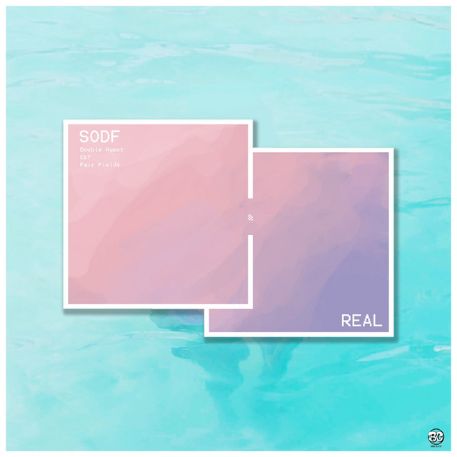 Real cover art