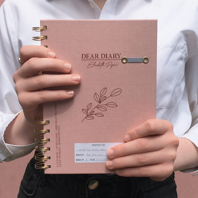 dear diary cover art