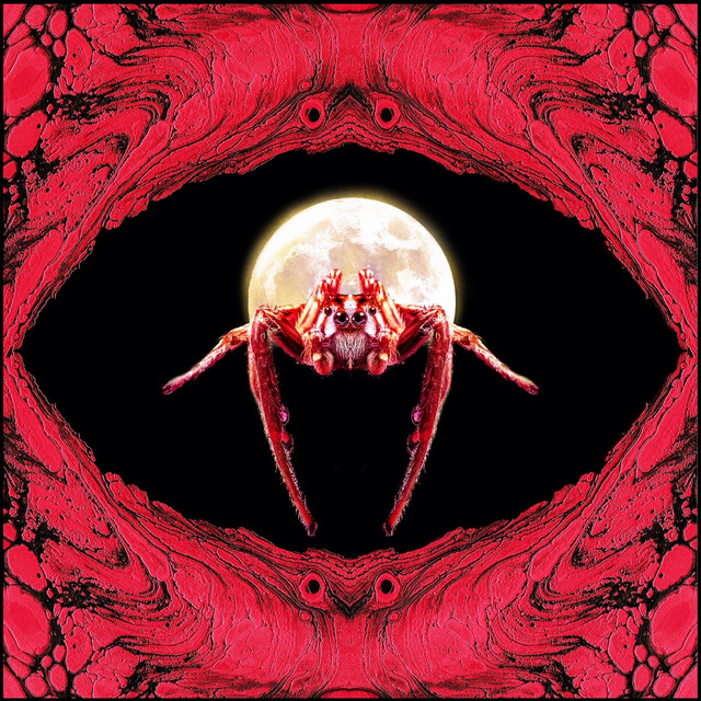 Arachnid cover