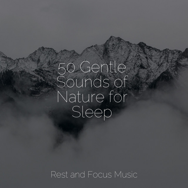50 Gentle Sounds of Nature for Sleep - Album by Pet Care Music Therapy ...