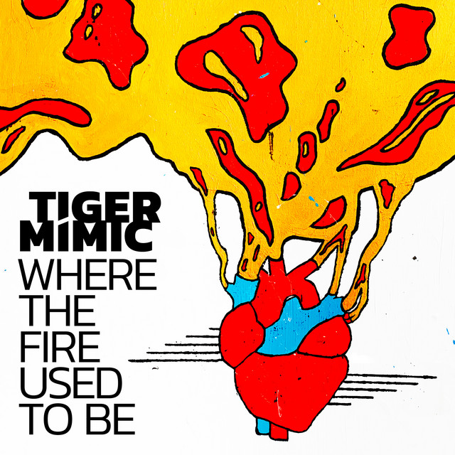 Where The Fire Used To Be cover