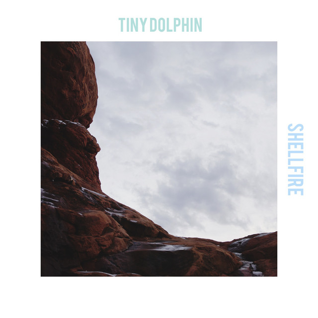 Shellfire cover art