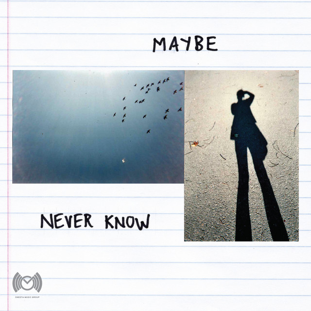 Never Know - Single by Maybe | Spotify