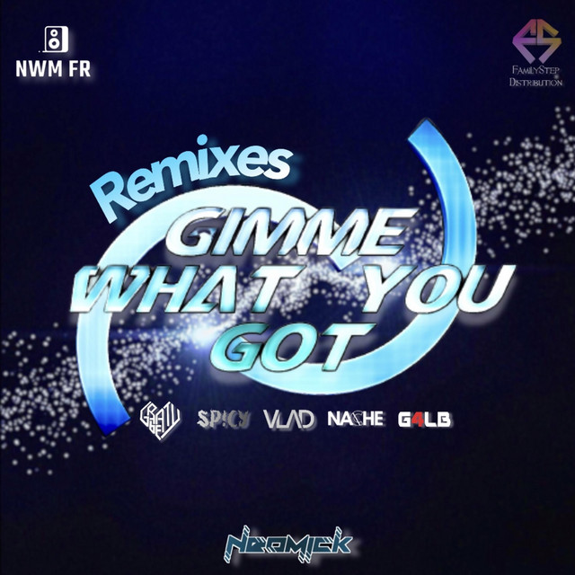 Gimme What You Got (VLADvulpes Remix) cover art