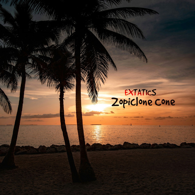 Zopiclone Cone cover