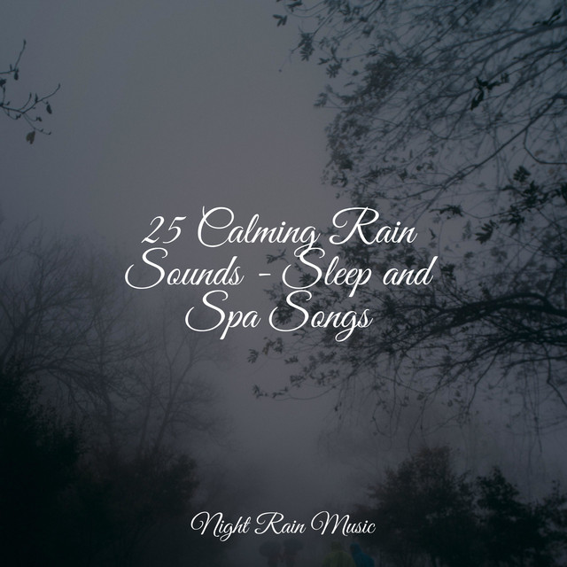 25 Calming Rain Sounds - Sleep and Spa Songs - Album by Baby Sleep ...