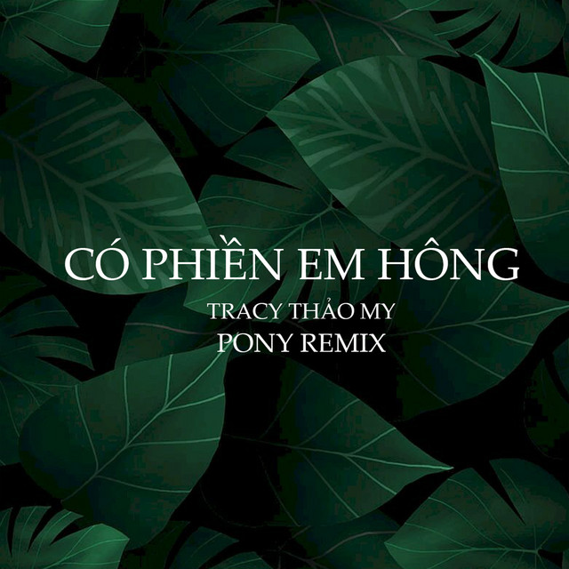 Có Phiền Em Hông - Pony Remix