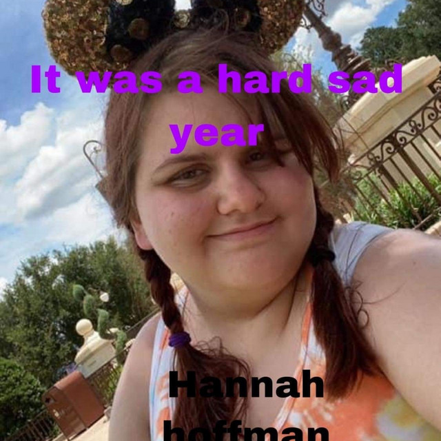 it was a hard sad year cover art
