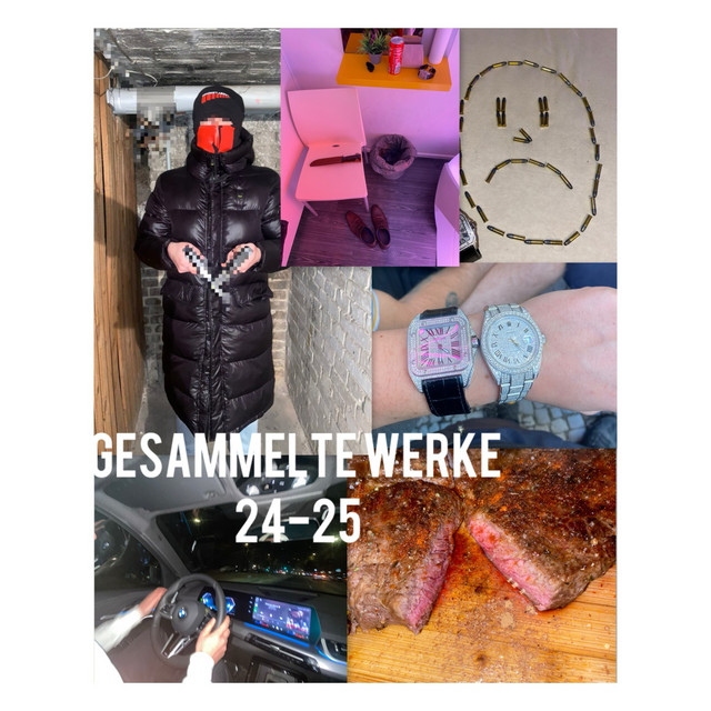 Gesammelte Werke 24-25 cover art