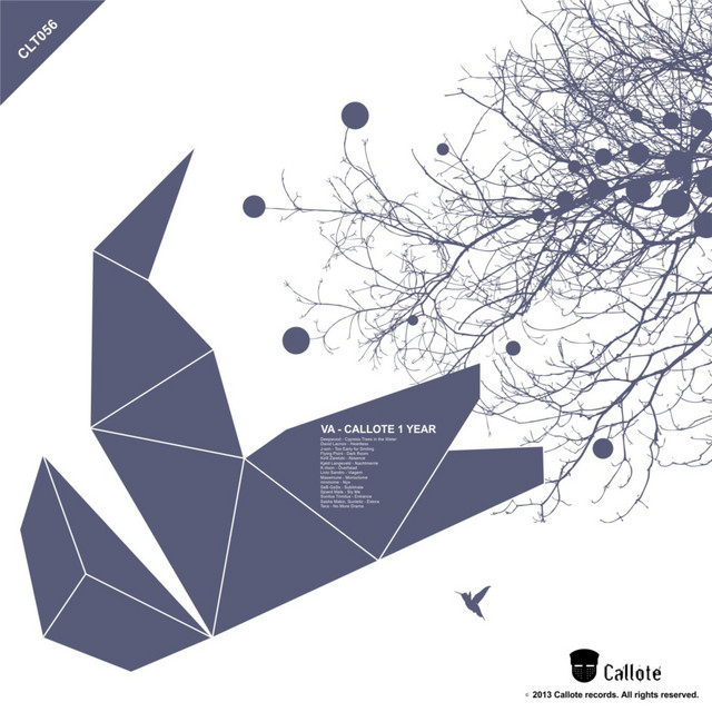 Callote 1 Year - Compilation by Various Artists | Spotify