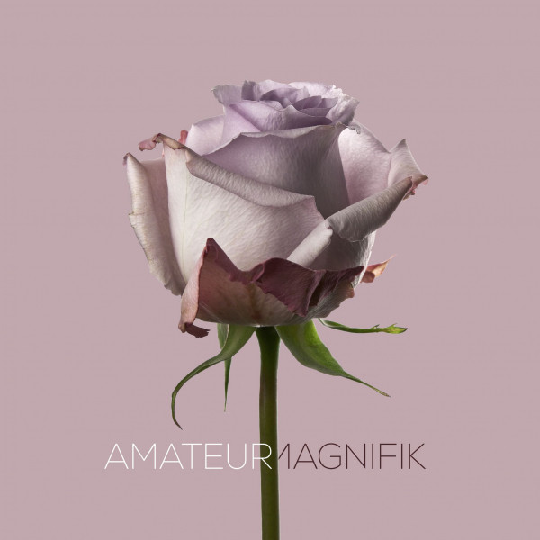Amateur cover art