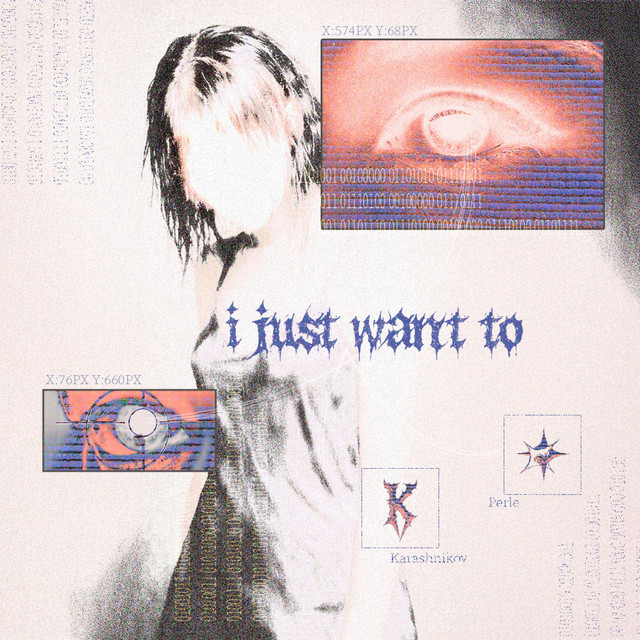 I Just Want To
