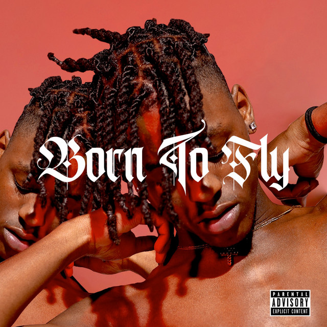 Born to Fly cover art