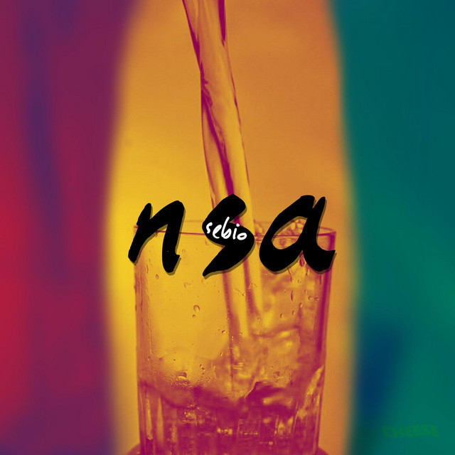 Nsa cover art